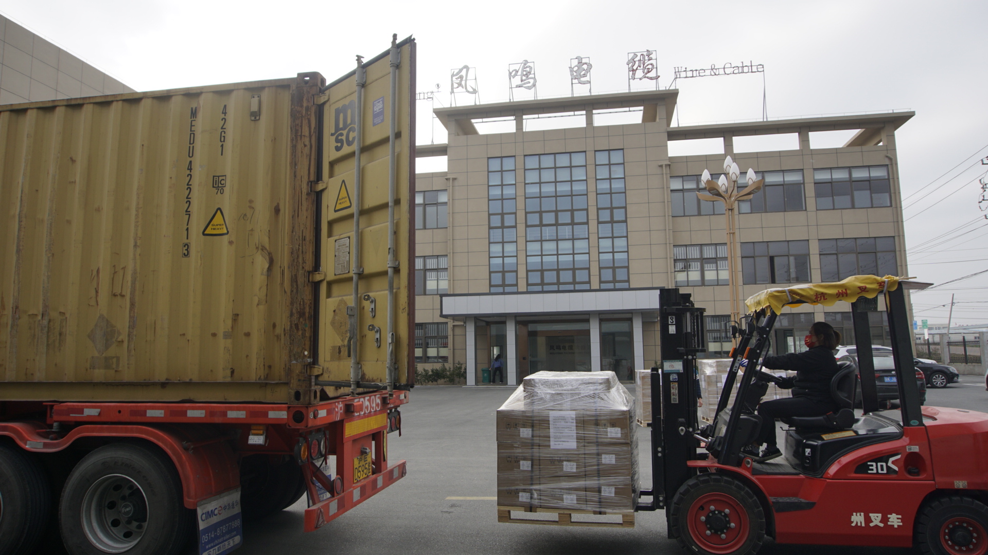 46a13031-7a97-4b8a-9a1f-b153dd7ea435